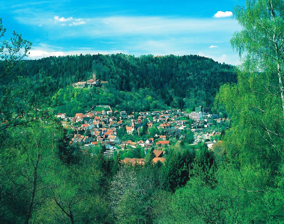 Hotel Hochwald Бад Либенцел Стая снимка